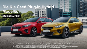 kia-phev-familie kia-phev-familie