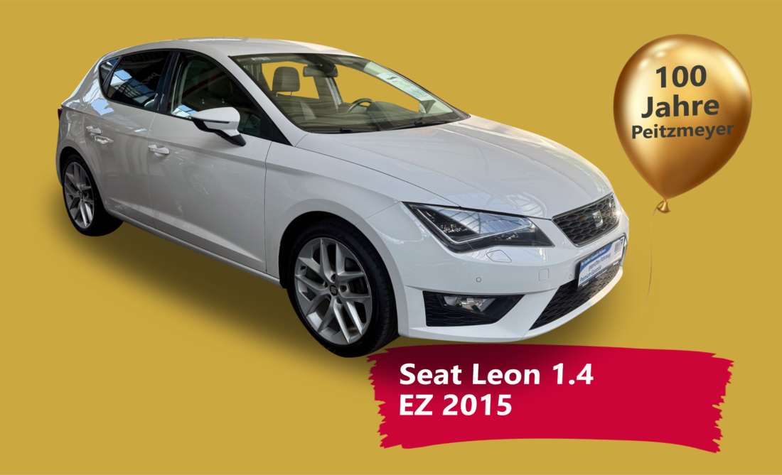 7_Seat Leon